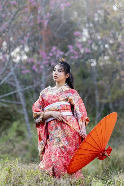 Perempuan Cantik Mengenakan Kimono Tradisional Jepang Dengan Bunga Sakura Musim — Stok Foto