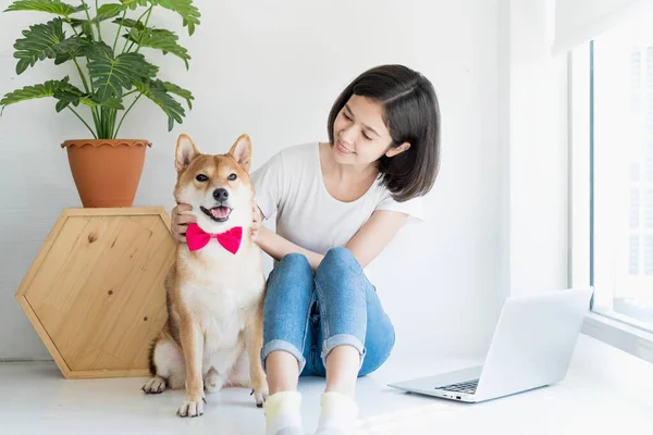 アパートの部屋で芝犬と遊んでいる若い女性 女の子は芝犬と床にラップトップを使用しています — ストック写真