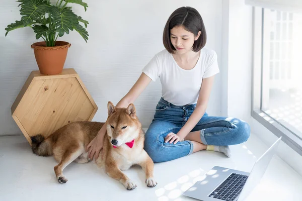 ペット愛好家の概念 家やペットからの仕事 若い女性は木製の床のラップトップで働いています 女の子と柴犬 — ストック写真