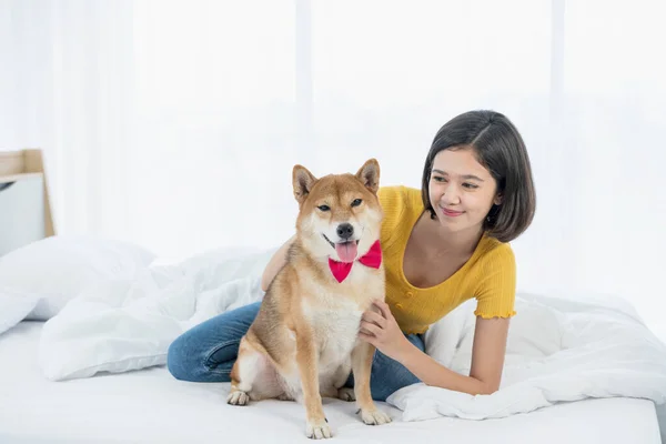 ペット愛好家の概念 アパートのベッドルームで芝犬と遊んでいる若い女性 — ストック写真