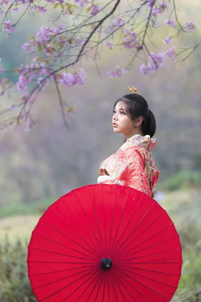 Beautiful Girl Wearing Traditional Japanese Kimono Holding Umbrella Cherry Blossom — Fotografia de Stock