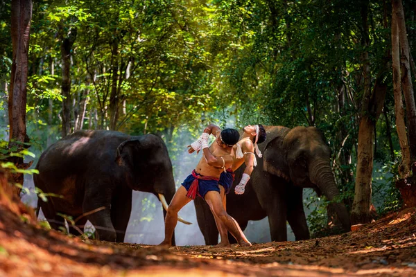 Wai Kru Musique Boxe Boxe Combattre Avec Grands Éléphants Est — Photo