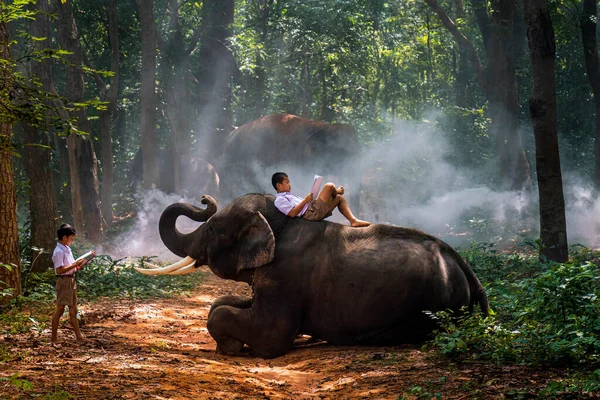Dwóch Chłopców Szkolnych Mundurkach Czyta Słoniami Tajlandia — Zdjęcie stockowe