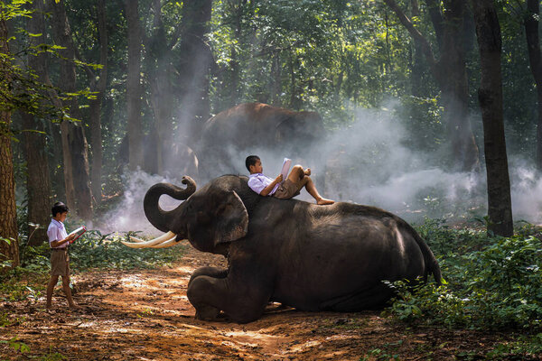 Two boys in school uniforms are reading with elephants. Thailand.