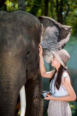 Genç bir Asyalı turist Tayland, Surin ormanında bir fille fotoğraf çekiyor.. 
