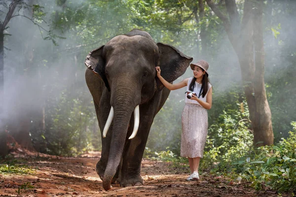 Młody Azjatycki Turysta Spaceruje Słoniem Lesie Surin Tajlandia — Zdjęcie stockowe