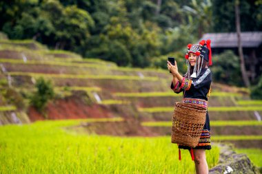 Tepe kabilesi elbiseli genç bir kadın teraslı pirinç tarlasında cep telefonu kullanıyor.. 