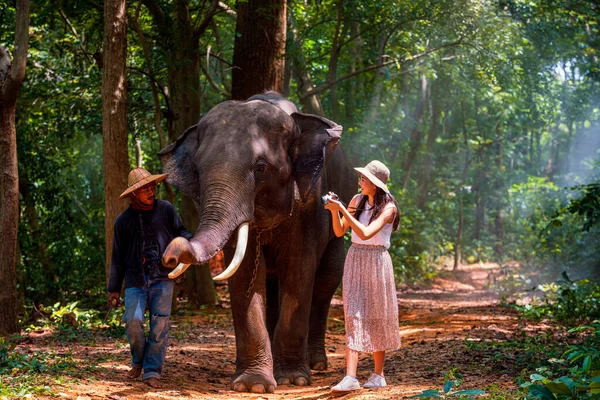 Jeune Touriste Asiatique Photographie Éléphant Dans Forêt Surin Thaïlande — Photo