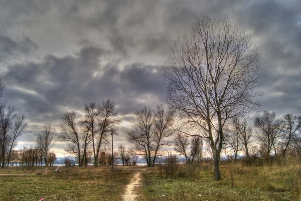 Sahile giden yol.