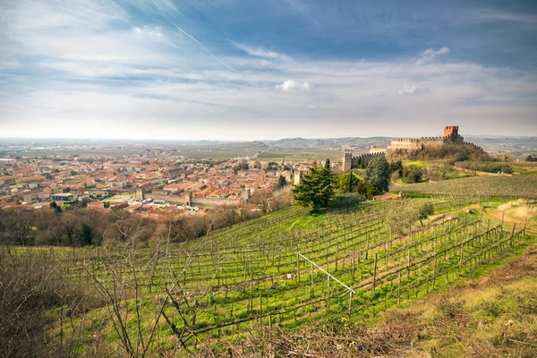 View of Soave (Italy) and its famous medieval castle — Stock Photo, Image