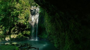 Yağmur ormanındaki şelale.