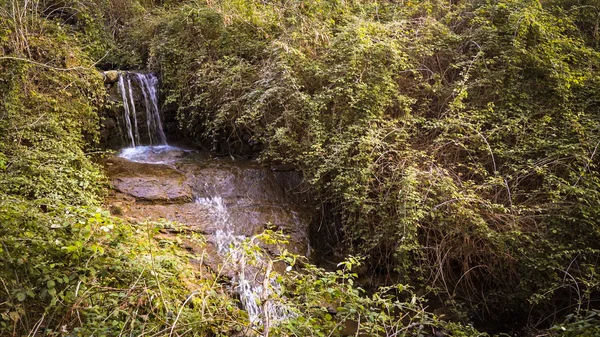 在植被的山间溪流的级联. — 图库照片