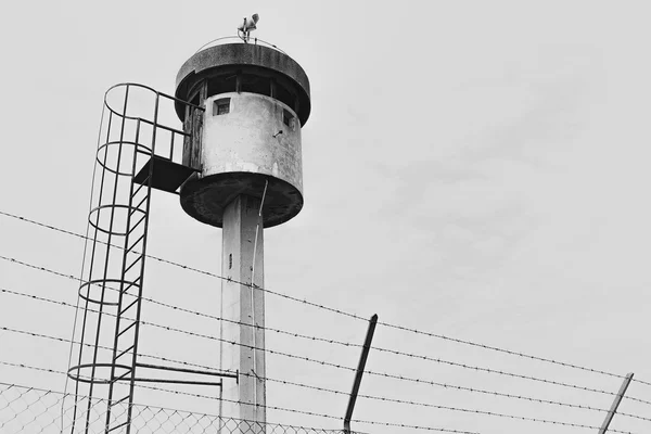 Verlaten sentry box toren geïsoleerd door een net met prikkeldraad. — Stockfoto