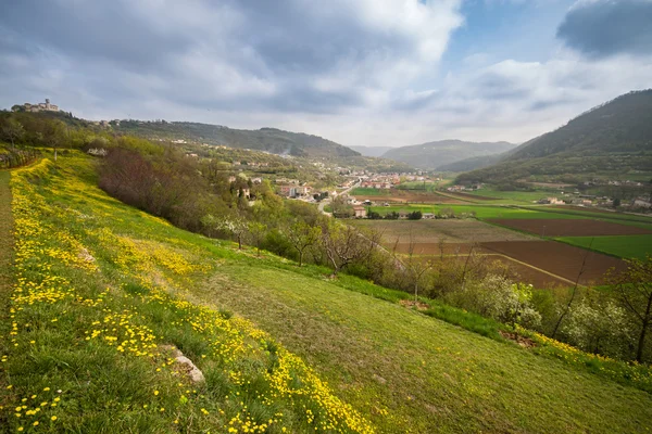 Blühender Frühling in den italienischen Hügeln. — Stockfoto