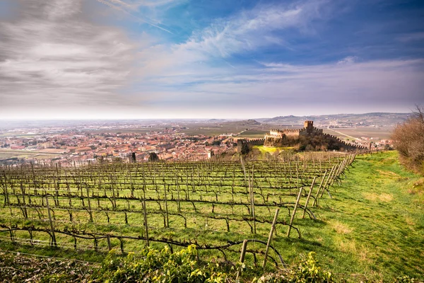 Pohled na Soave (Itálie) a jeho známý středověký hrad — Stock fotografie