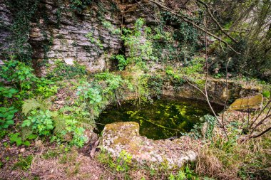 Eski terk edilmiş taş Havzası.