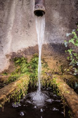 Damlama su yosunlu taş eski yuvarlak küvet içine düşüyor.
