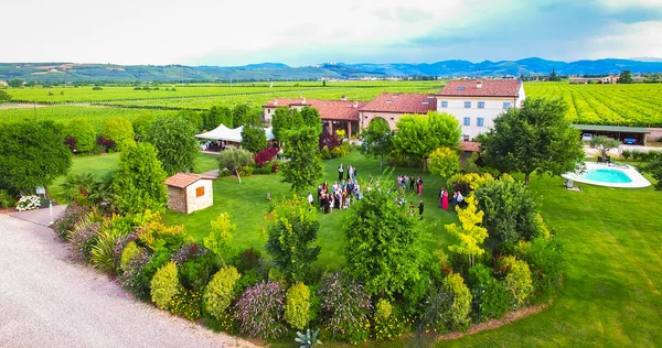 Vue aérienne d'une ancienne ferme dans les vignes près de Soave, Ita — Photo