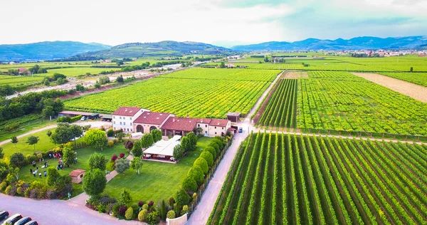 Vista aérea de una antigua granja en los viñedos cerca de Soave, Ita — Foto de Stock
