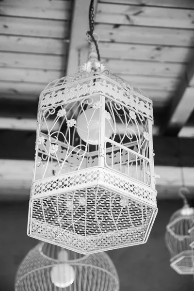 Lampe de cages à oiseaux — Photo