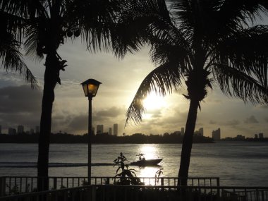 Miami arka ışık