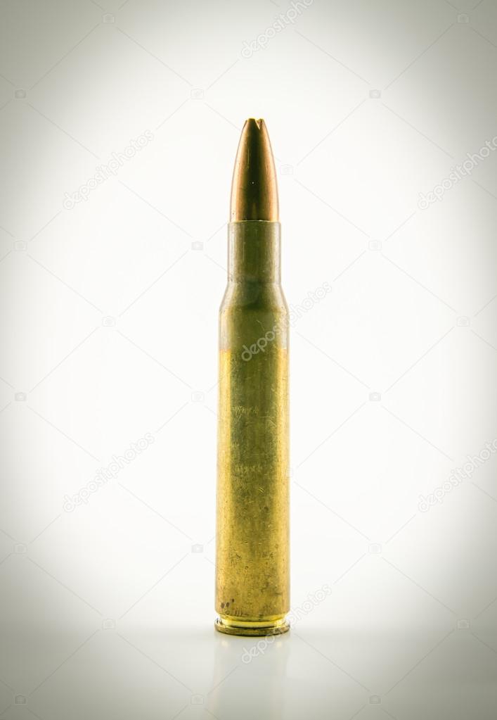 ammunition for rifle