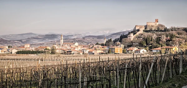 Перегляд Soave (Італія) і його знаменитий середньовічний замок — стокове фото