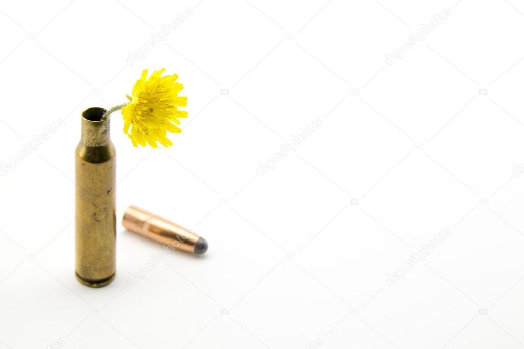Shotgun shell with yellow flower - stock image.