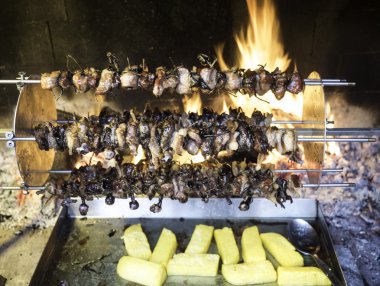 şiş dönüm kuşlar ve cook yavaş yavaş alev ısı için