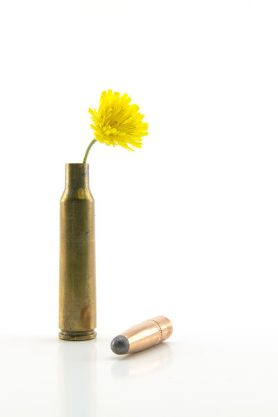 shotgun shell with yellow little flower