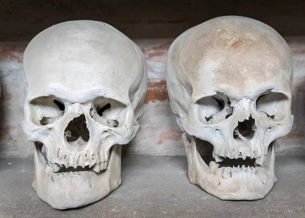 Human skulls inside a catacomb — Stock Photo, Image