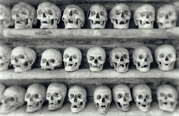 Menselijke schedels in een catacombe. — Stockfoto