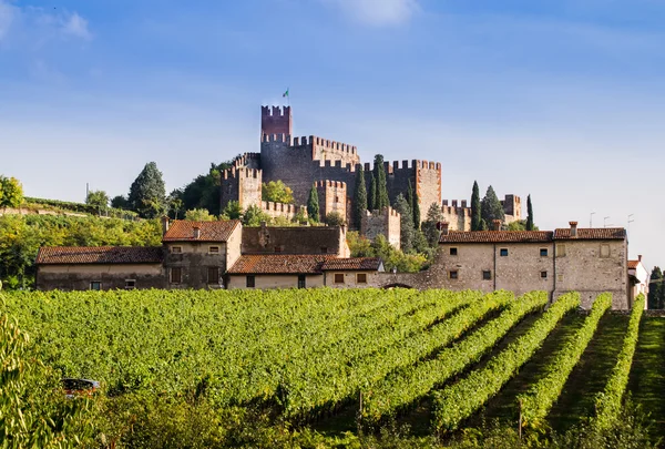 Перегляд Soave (Італія) і його знаменитий середньовічний замок — стокове фото