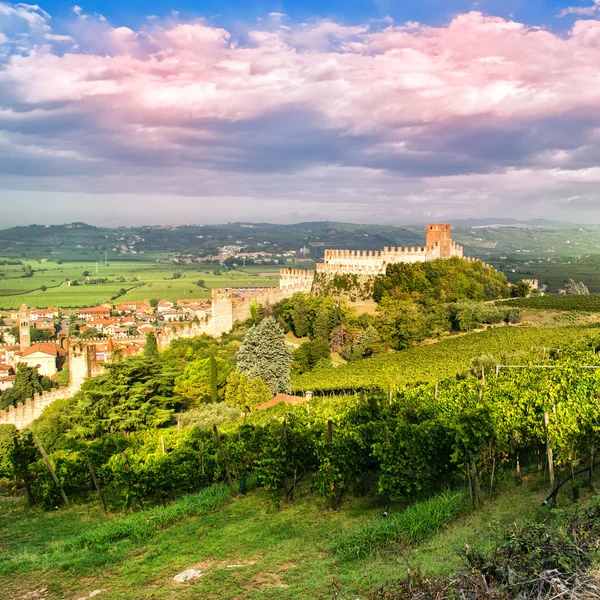 Άποψη του Soave (Ιταλία) και το περίφημο μεσαιωνικό κάστρο — Φωτογραφία Αρχείου