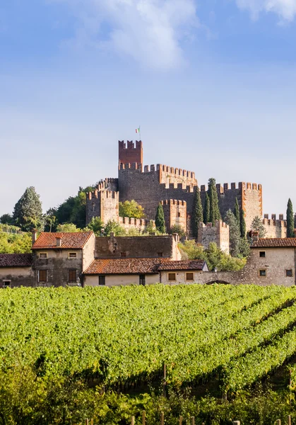 Weergave van Soave (Italië) en het beroemde middeleeuwse kasteel — Stockfoto