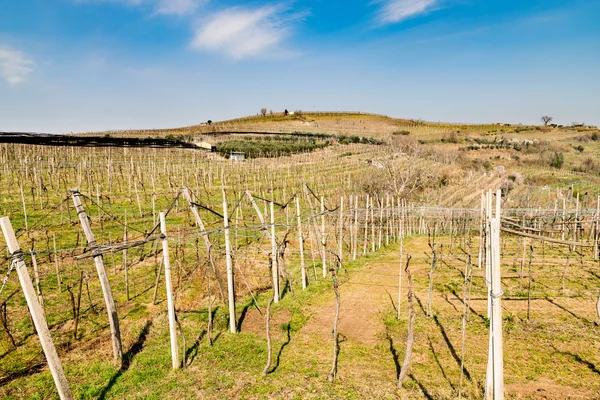 Vinice a zemědělskou půdu v kopcích na jaře. — Stock fotografie