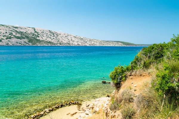 De kristalheldere zee rondom het eiland Rab, Kroatië. — Stockfoto