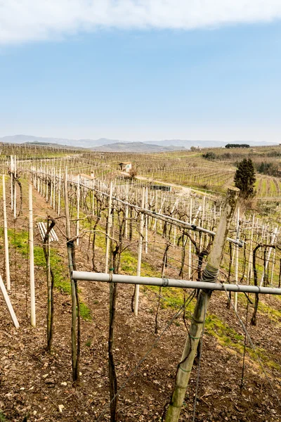 Vinice a zemědělskou půdu v kopcích na jaře. — Stock fotografie