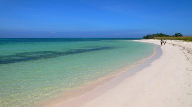 Küba'nın Kuzey Sahil Cayo Jutias beach.