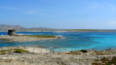 pelosa beach eski bir ortaçağ Kulesi bir izole Beach, Sardunya, İtalya