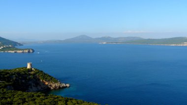görüş Akdeniz capo di caccia, Sardunya, İtalya