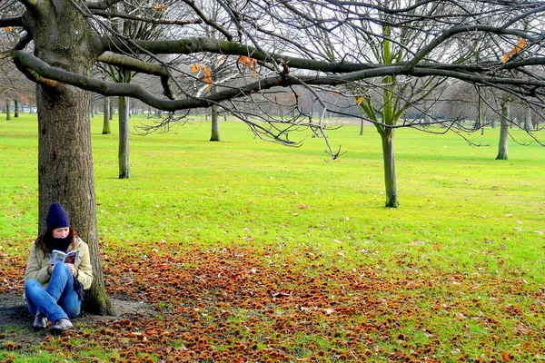 Hyde park, Londra, İngiltere'de okuma genç bayan