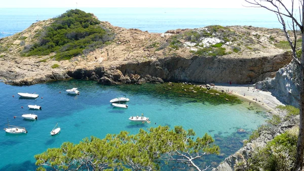 s'eixugador küçük plaj yakınında güzel Köyü ve Plajı sa tuna, Akdeniz, Katalonya, İspanya