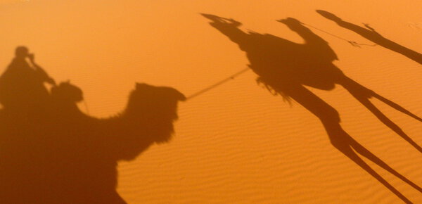 A couple of camel shadows projected over Erg Chebbi red sand dunes sea, Morocco
