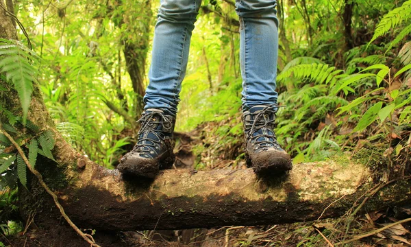 Dettaglio di stivali fangosi sulla strada per l'escursione delle tre cascate perdute negli altopiani vicino a boquete, Panama . — Foto Stock