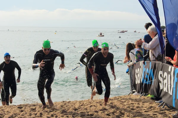 Barcelona, İspanya - 5 Ekim 2014: Önde gelen triathletes bayrak yarışı suda Barcelona Garmin triatlon olay sırasında çık.