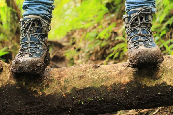 Détail des bottes boueuses sur le chemin des trois chutes d'eau perdues randonnée dans les hauts plateaux près de Boquete, Panama . Images De Stock Libres De Droits