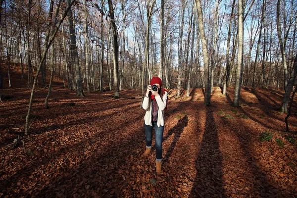 Nuori kaunis nainen ottaa kuvia pyökki lehdet yksi hämmästyttävä pyökki metsä Euroopassa, "La Fageda d 'en Jorda", luonnon paratiisi lähellä Olot kylä, Katalonia, Espanja . — kuvapankkivalokuva