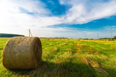 Samandan balyalarla kendi buğday tarlam