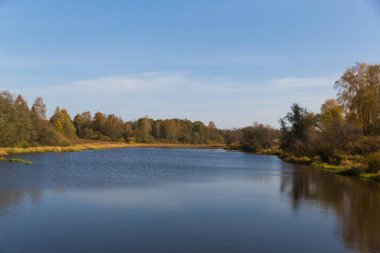 Kırsalda sonbahar doğası. Sarı orman ve nehir
